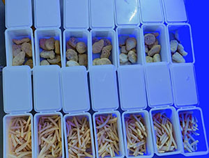 product introduce image